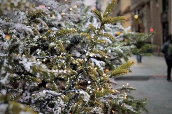 7 dicembre - Gubbio albero di Natale più grande del mondo